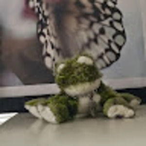 Meet your Posher, Ashley